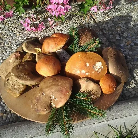 Accommodatie bij particulieren - Zakova