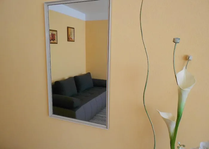 - Zakova